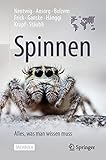 Spinnen - Alles, was man wissen muss