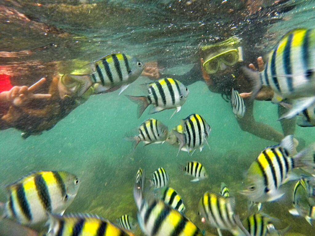 Schnorcheln als tolle Outdoor Aktivität in Ägypten mit vielen Fischen und 2 Schnorchlern