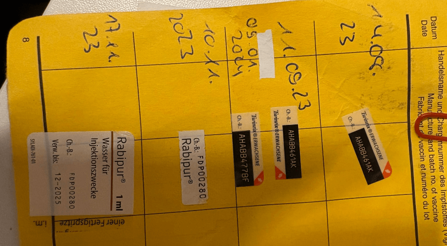 Ägypten Impfungen in gelbem Impfpass eingetragen